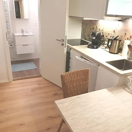 Stilvoll Gertrud Schloessli 1 Zi Apartment