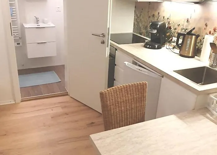 Stilvoll Gertrud Schloessli 1 Zi Appartement